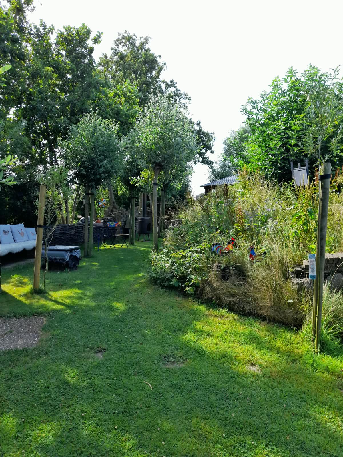 Groen tuinpad in de koffietuin